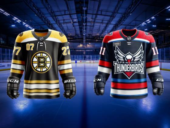 Providence Bruins at Springfield Thunderbirds: Atlantic Division Semifinals (Home Game 1, Series Game 3)